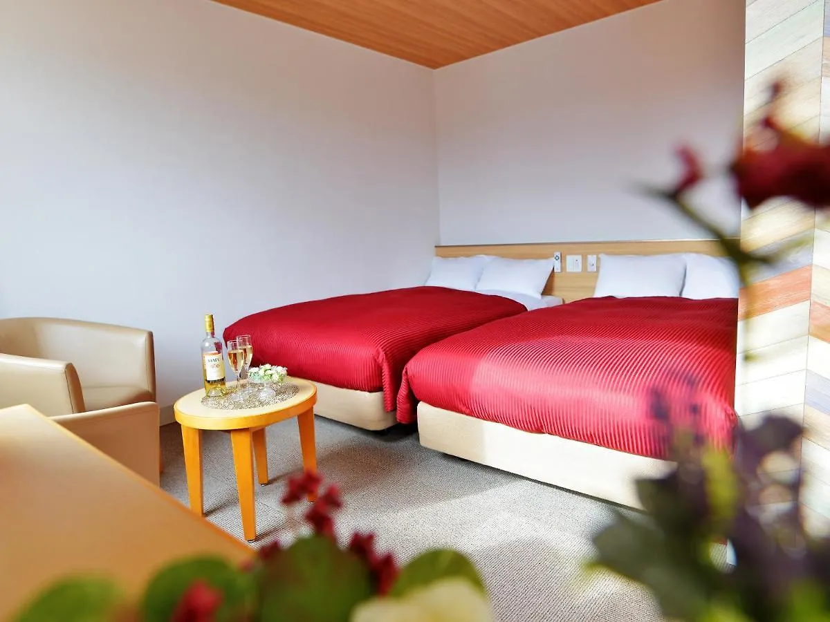 Hotel New Gaea Omuta Garden 3*,  Japan